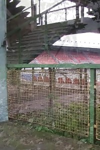 Compilation Of Seducing Peeing European Teenagers