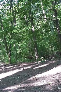 Stacked Blonde Delphine Takes A Leak Desperation
