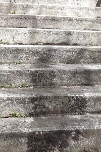 Brunette Doll Pisses On Concrete Steps
