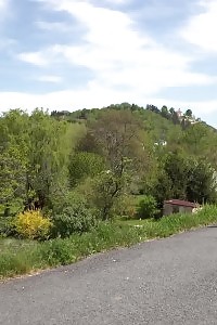 Amanda Hill Pees In Public In The Woods