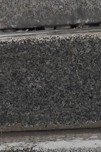 Ginger Siren Really Needs To Pee Outdoor